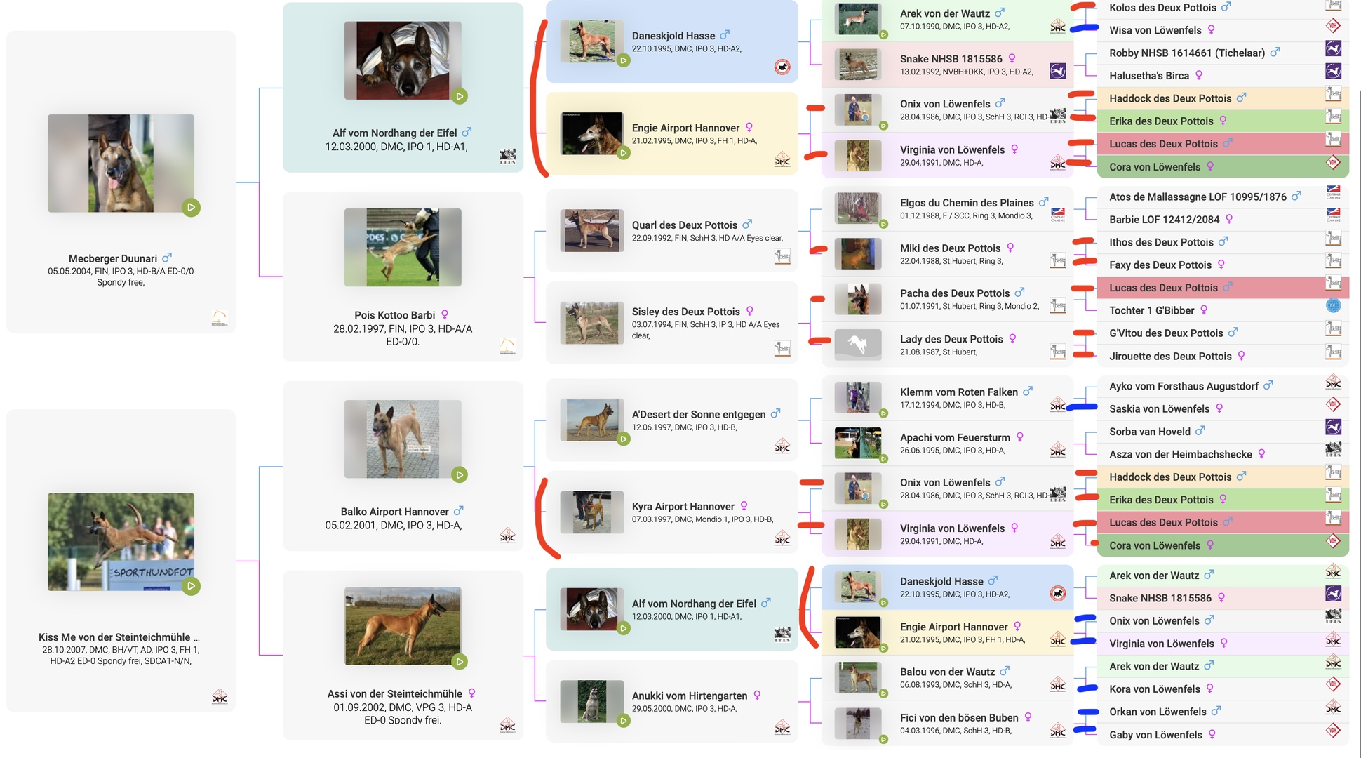 Doc Holliday sire-side pedigree screenshot